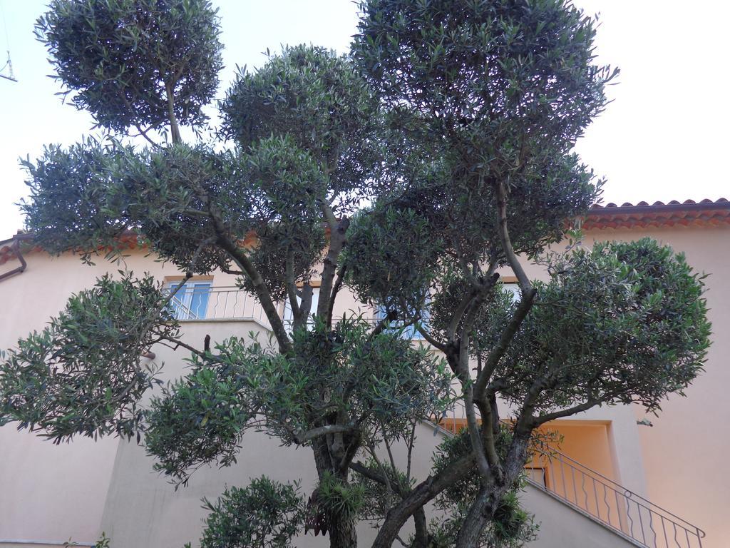 Appartement Villa Angelina Grimaud Dış mekan fotoğraf